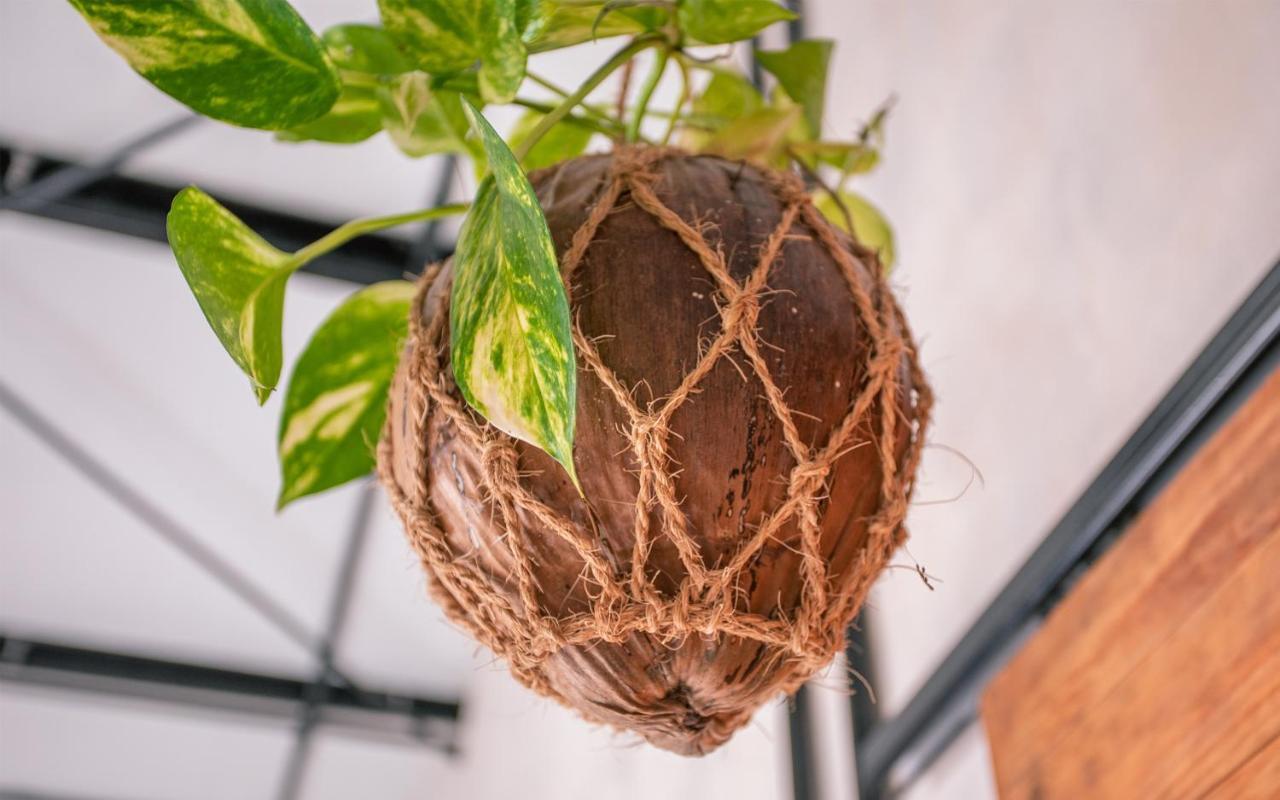 Tranquil Nest Vaavu Rakeedhoo Exterior foto